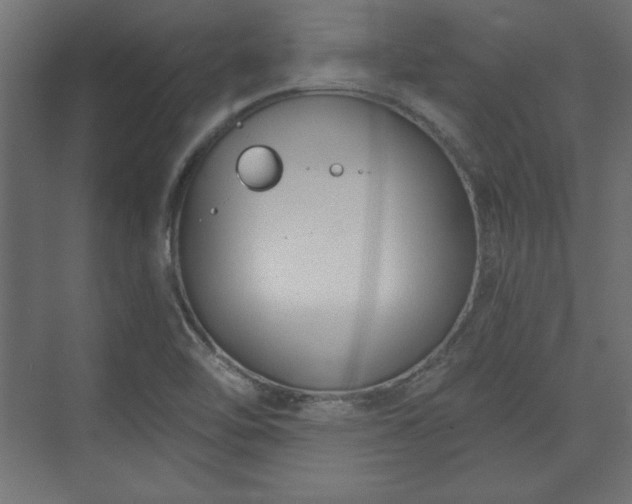 X0000073991462200608281301