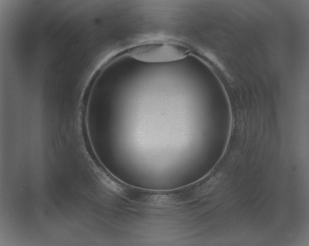 X0000073991463200608281301