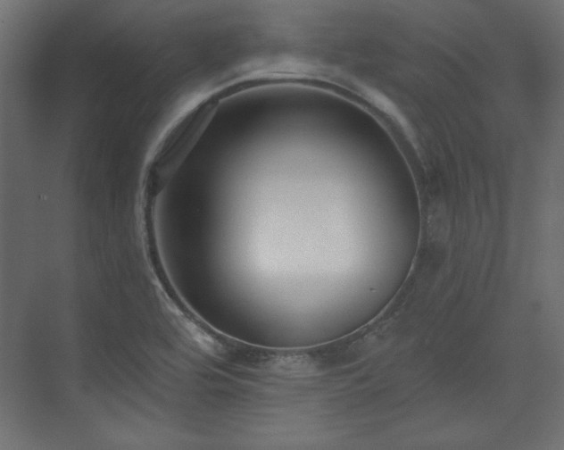 X0000073991464200608281301