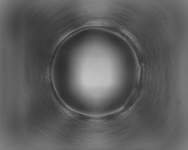 X0000073991465200608281301