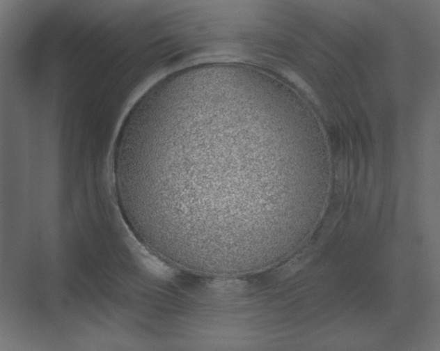 X0000073991466200608281301