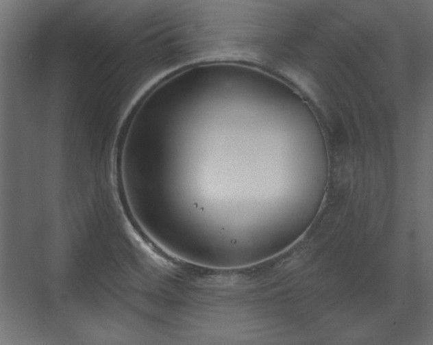 X0000073991468200608281301