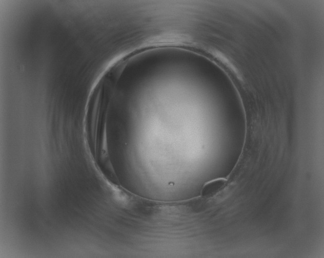 X0000073991469200608281301