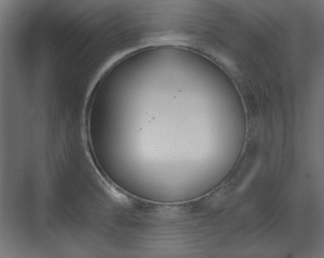 X0000073991470200608281301