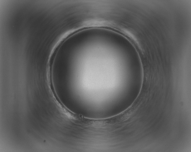 X0000073991472200608281301