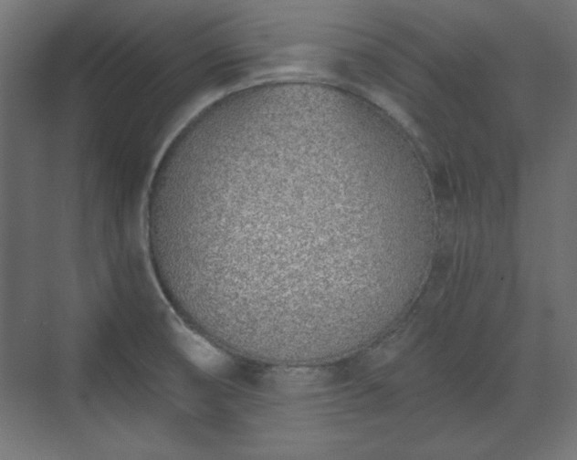 X0000073991474200608281301