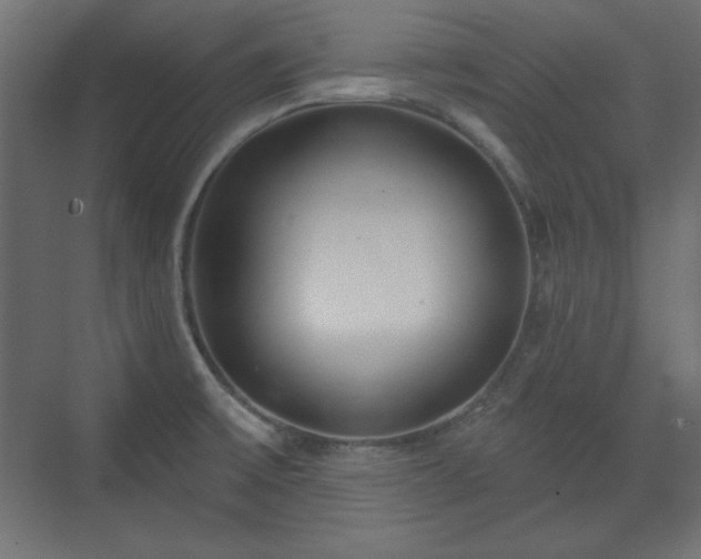 X0000073991475200608281301