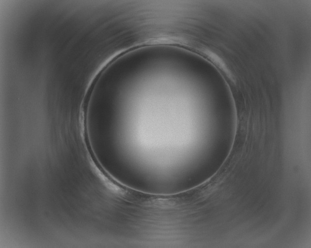 X0000073991476200608281301