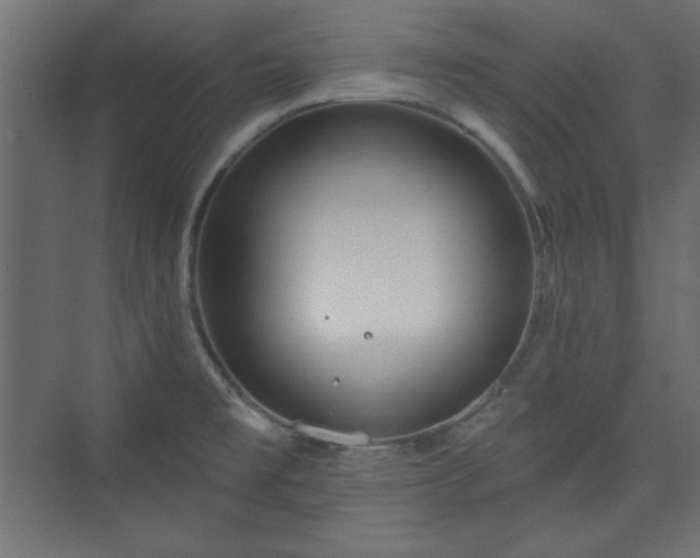 X0000073991477200608281301