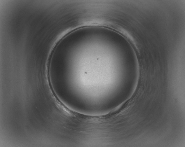 X0000073991480200608281301