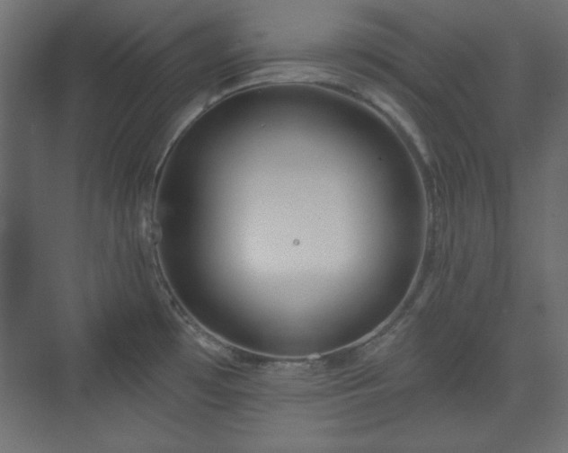 X0000073991481200608281301