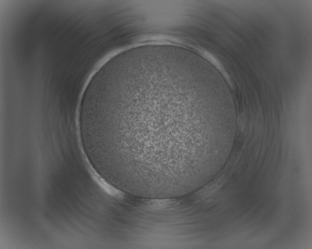 X0000073991482200608281301