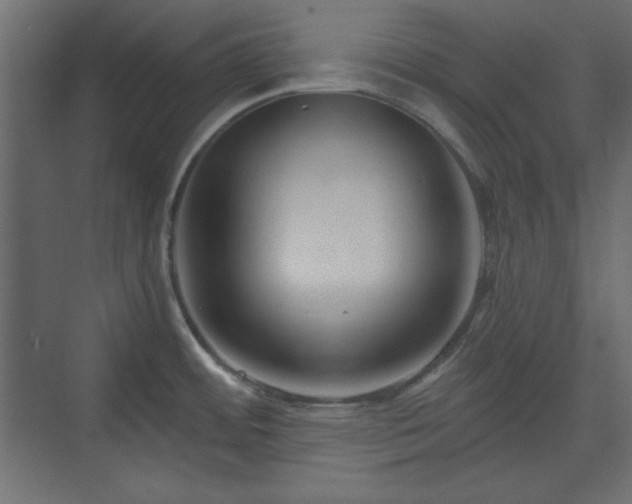 X0000073991484200608281301