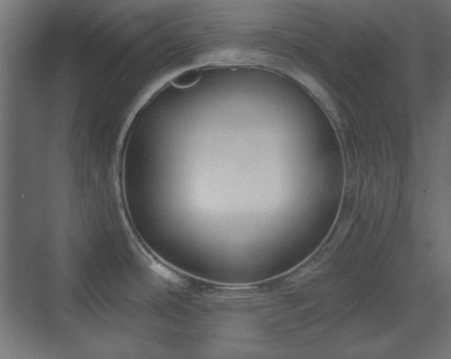 X0000073991486200608281301