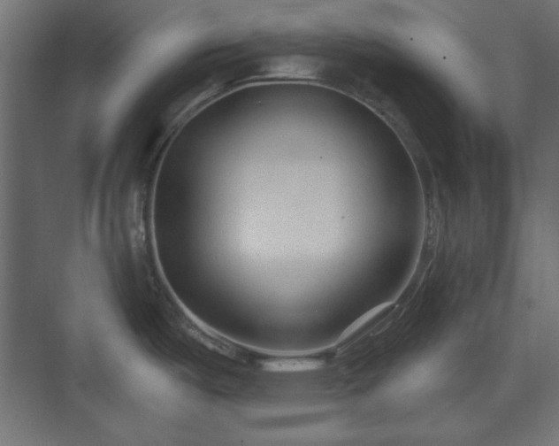 X0000073991487200608281301