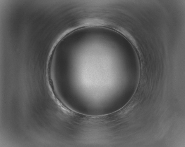 X0000073991488200608281301