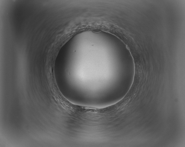 X0000073991489200608281300