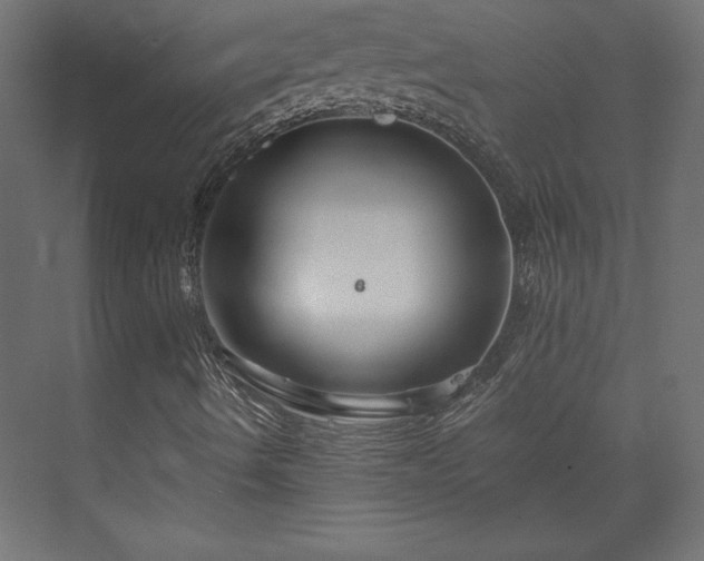 X0000073991490200608281300