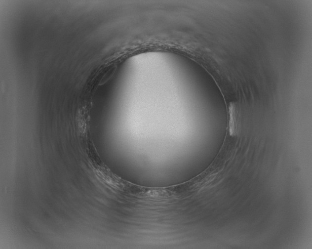 X0000073991491200608281300