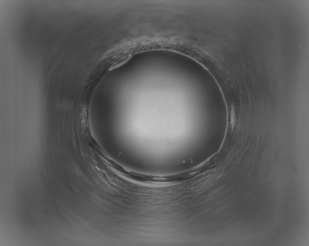 X0000073991492200608281300