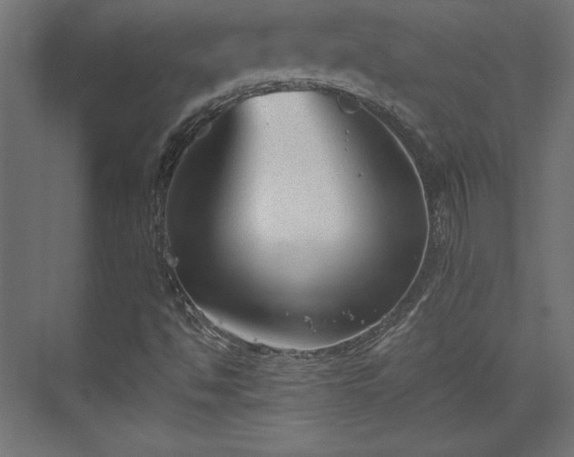 X0000073991494200608281300