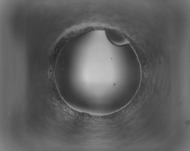 X0000073991495200608281300