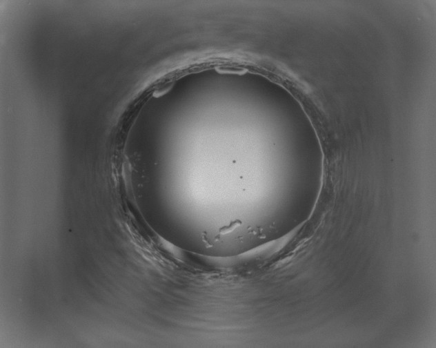 X0000073991496200608281300