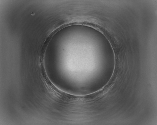 X0000073991497200608281300