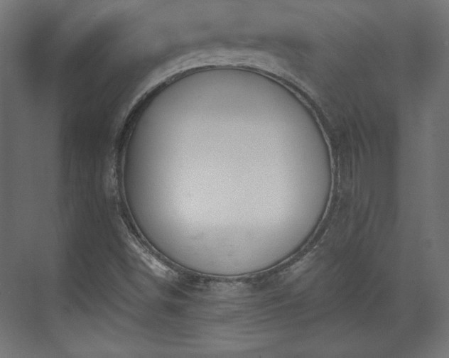 X0000073991498200608281300