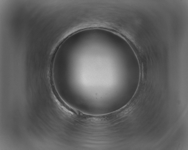 X0000073991500200608281300