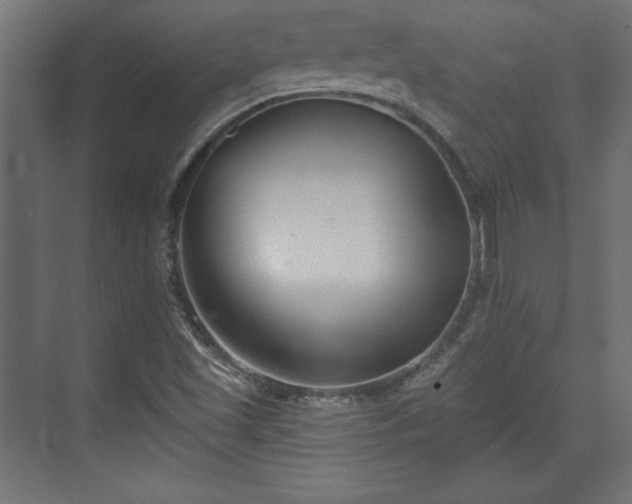 X0000073991501200608281300