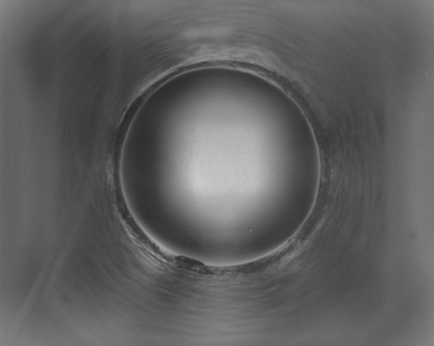 X0000073991505200608281300