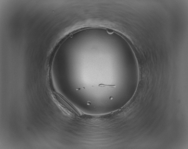 X0000073991507200608281300