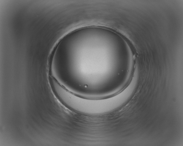 X0000073991508200608281300