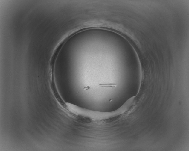 X0000073991509200608281300