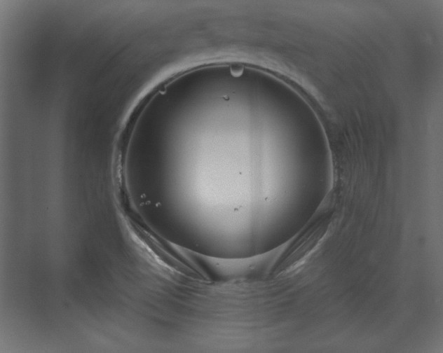 X0000073991510200608281300