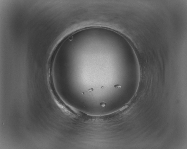 X0000073991511200608281300