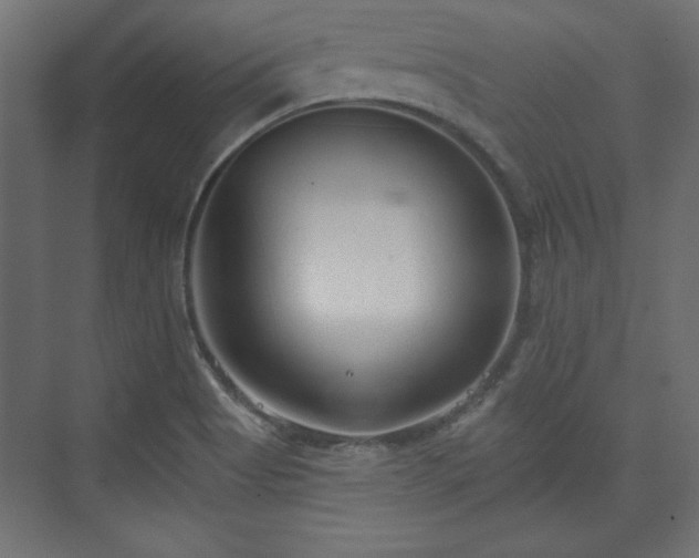 X0000073991513200608281300