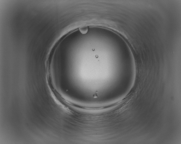 X0000073991515200608281300