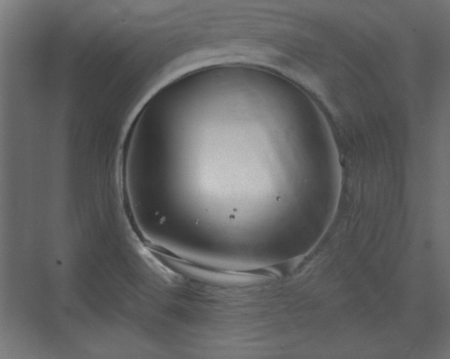 X0000073991516200608281300