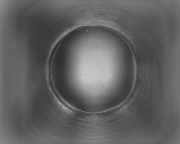 X0000073991517200608281300