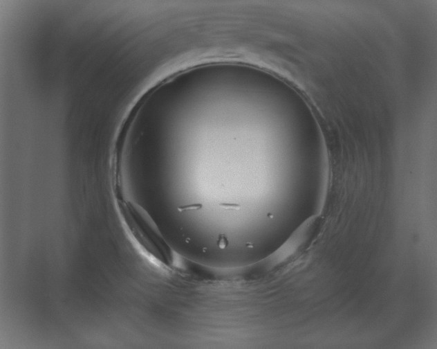 X0000073991519200608281300