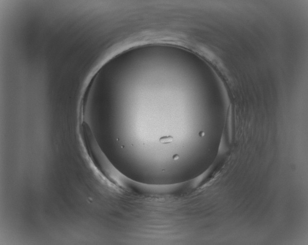 X0000073991520200608281300