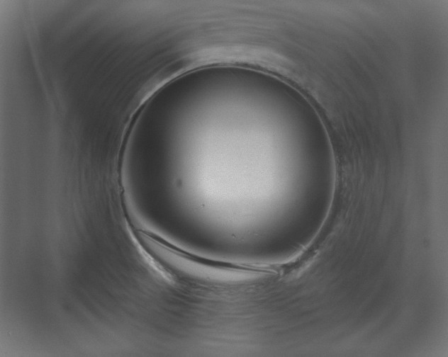 X0000073991521200608281300