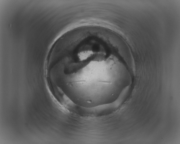 X0000073991522200608281300