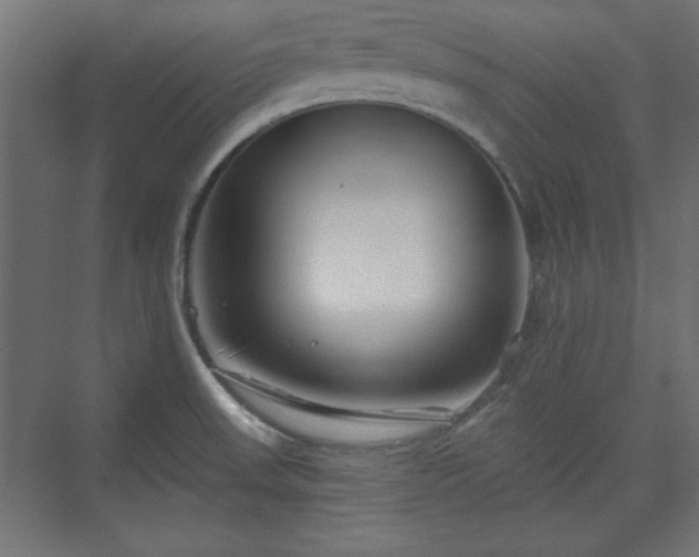 X0000073991523200608281300