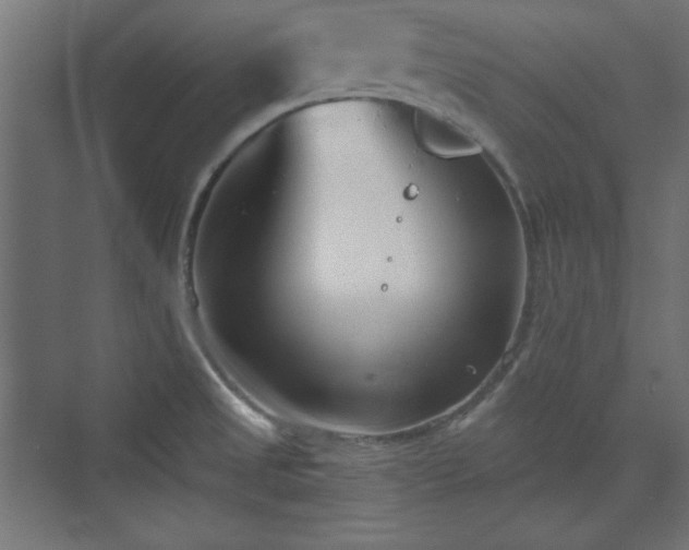 X0000073991525200608281301