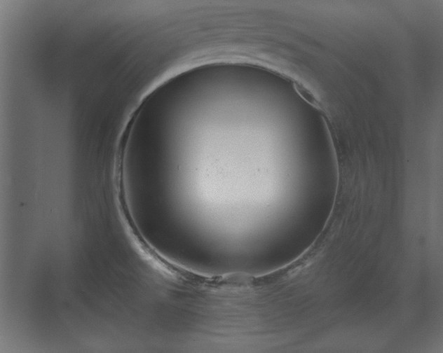 X0000073991526200608281301