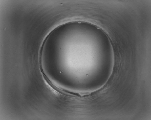 X0000073991527200608281301