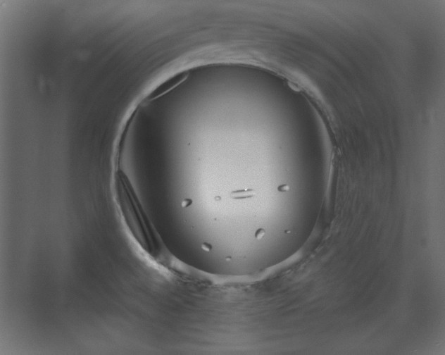 X0000073991528200608281301